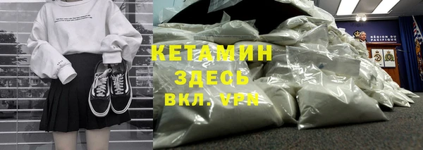 дживик Инта
