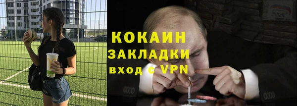 дживик Инта