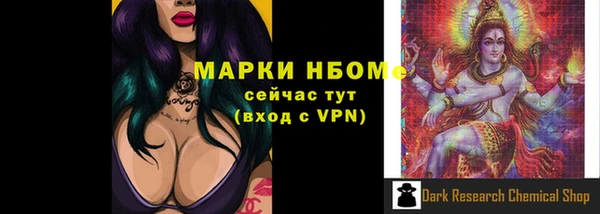 дживик Инта