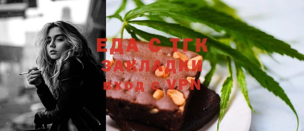 дживик Инта