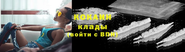 дживик Инта