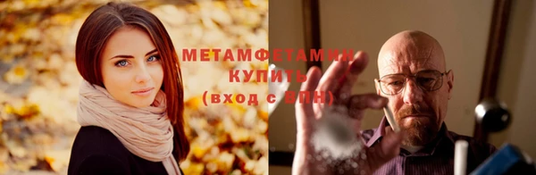 дживик Инта