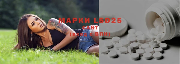 ГАЛЛЮЦИНОГЕННЫЕ ГРИБЫ Зеленодольск