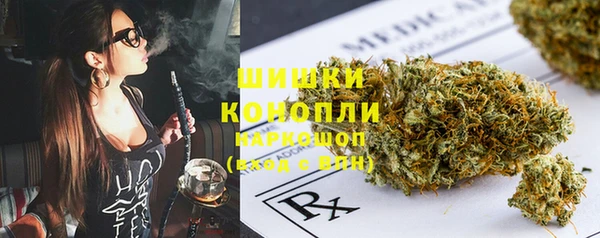 дживик Инта