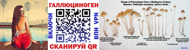 купить наркоту  OMG   Псилоцибиновые грибы MAGIC MUSHROOMS  Копейск 